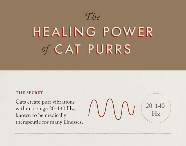 Thehealingpowerofcatpurrs_infographic