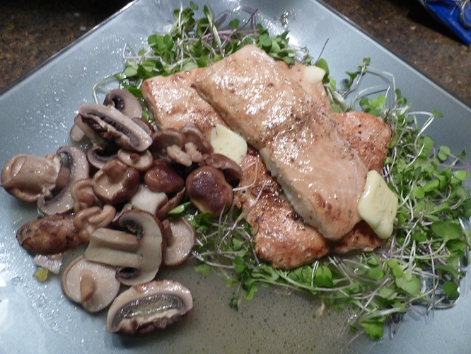 salmonmush