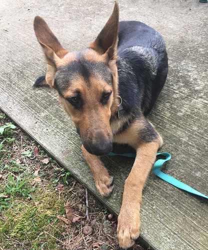 Gunther10months