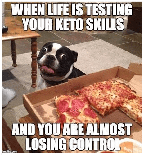 dog-pizza-keto