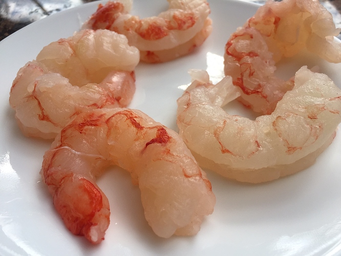 shrimp1