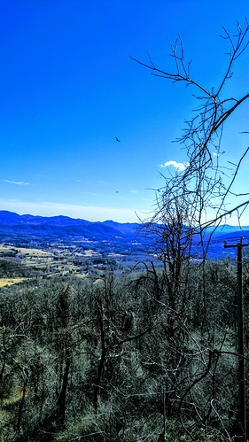 P_20190213_142000_vHDR_On
