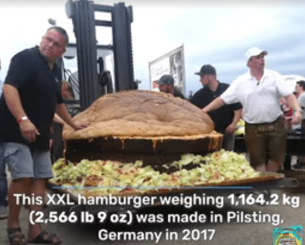 2566lbHamburger