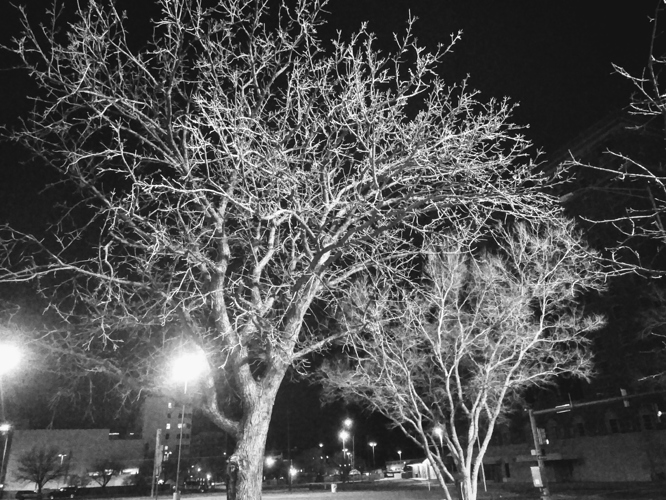 winter