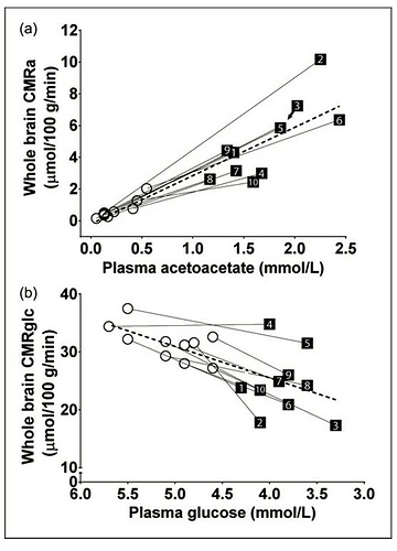 AcAc_plasma_brain