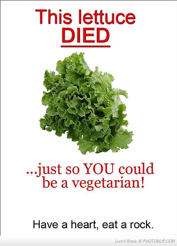 remember-this-vegetarians