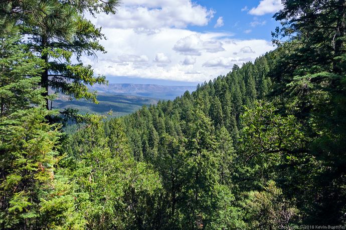 20180902-_DSC8298-Edit-medium