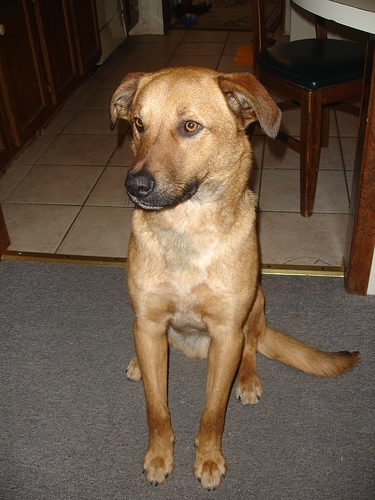 DSC04535