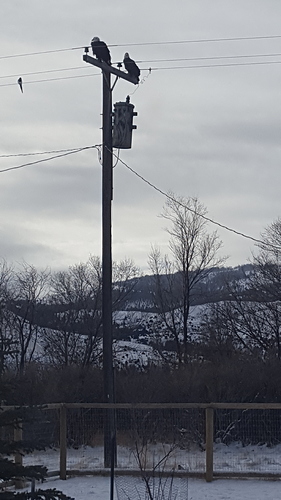 20190101_151600