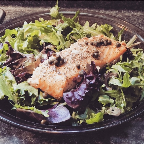 salmon