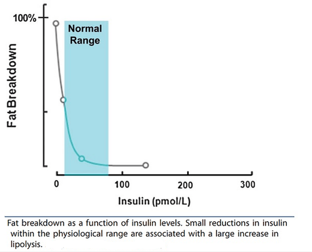 InsulinFatBurning