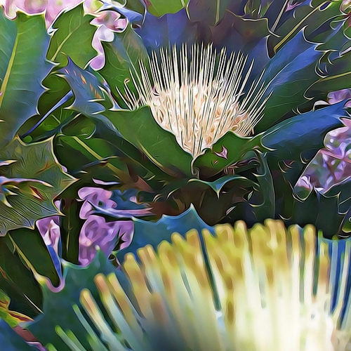 220712_Banksia