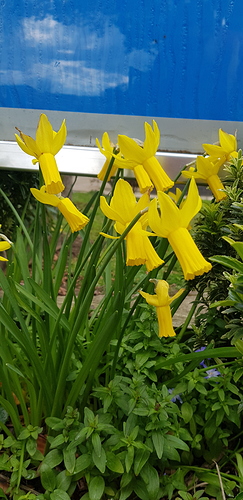 20190404_122722
