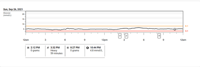 CGM%206