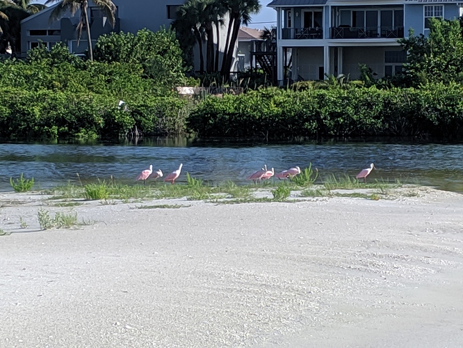 IMG_20190618_083705