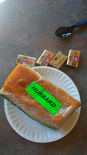1016171335