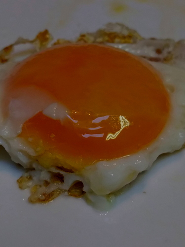 yolk