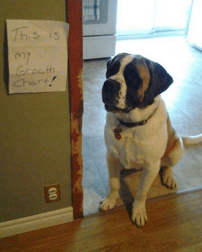 DogGrowthcHART