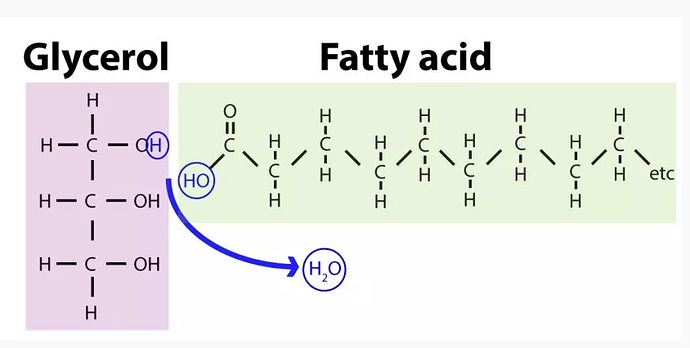 MetabolicWater