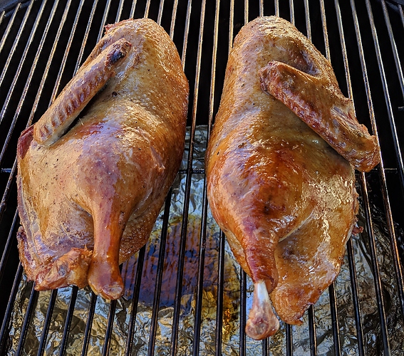 Duck