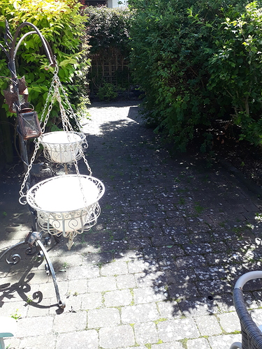20190622_144613