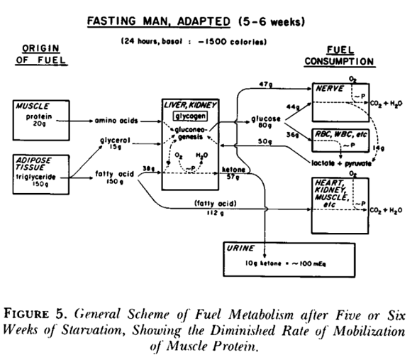 figure5