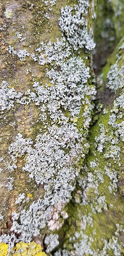 20190401_122221