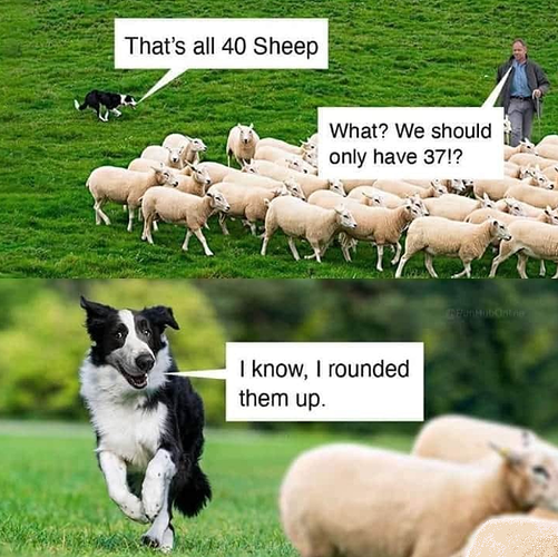 SheepRoundedUp