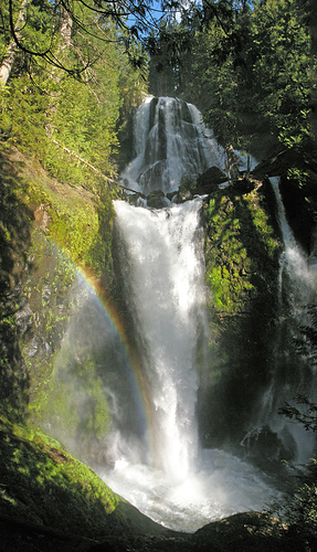 Memaloose%20Panther%20Creek%20Falls%20Creek%20Falls1web%205-19-17