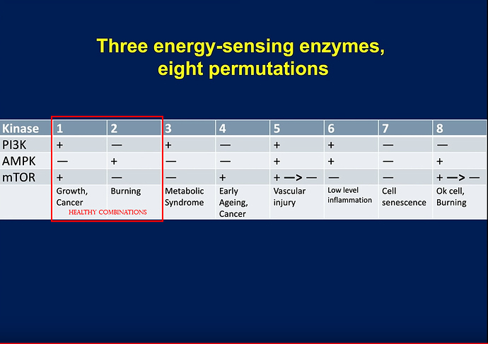 Three%20Key%20Metabolic%20Enzymes