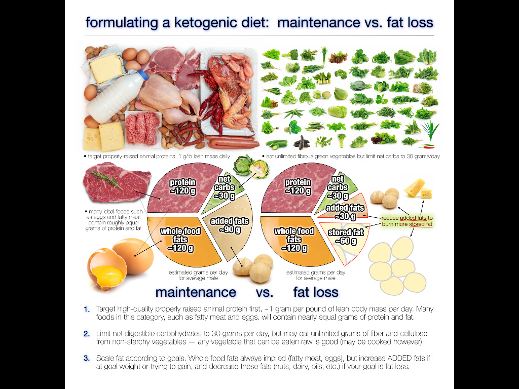 diet to lose body fat