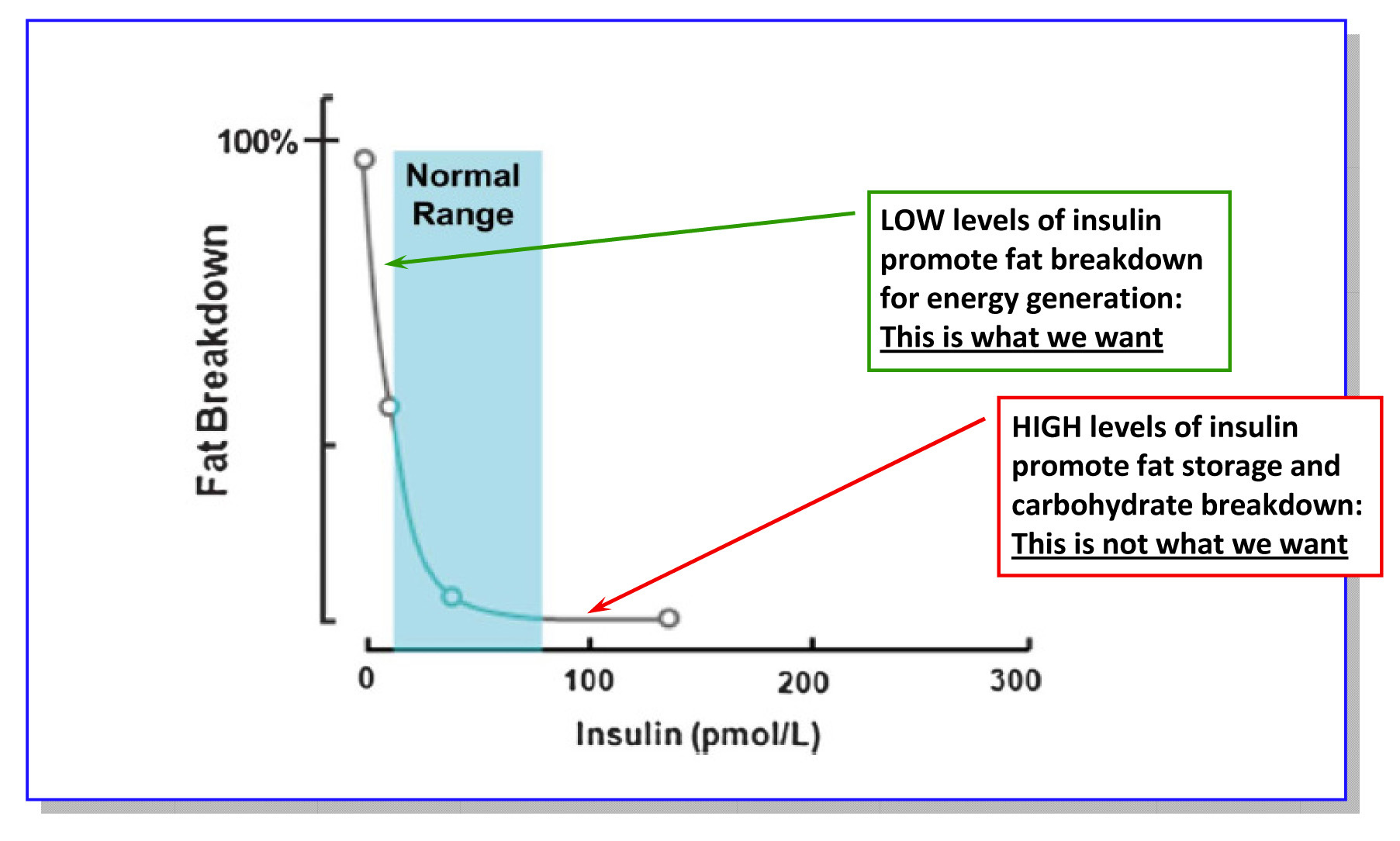 Insulin Level Chart