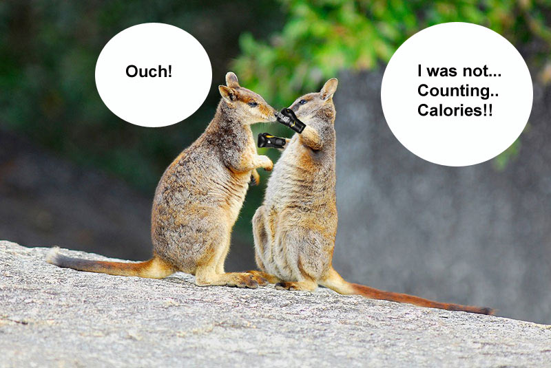Not_CICO