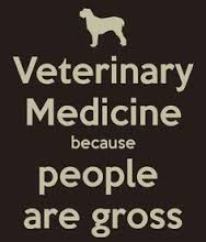 Vet%20med%20pic