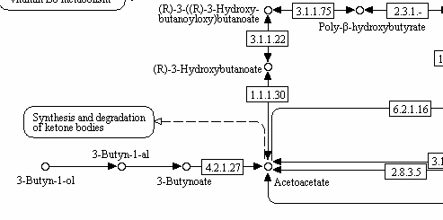 r-bhb