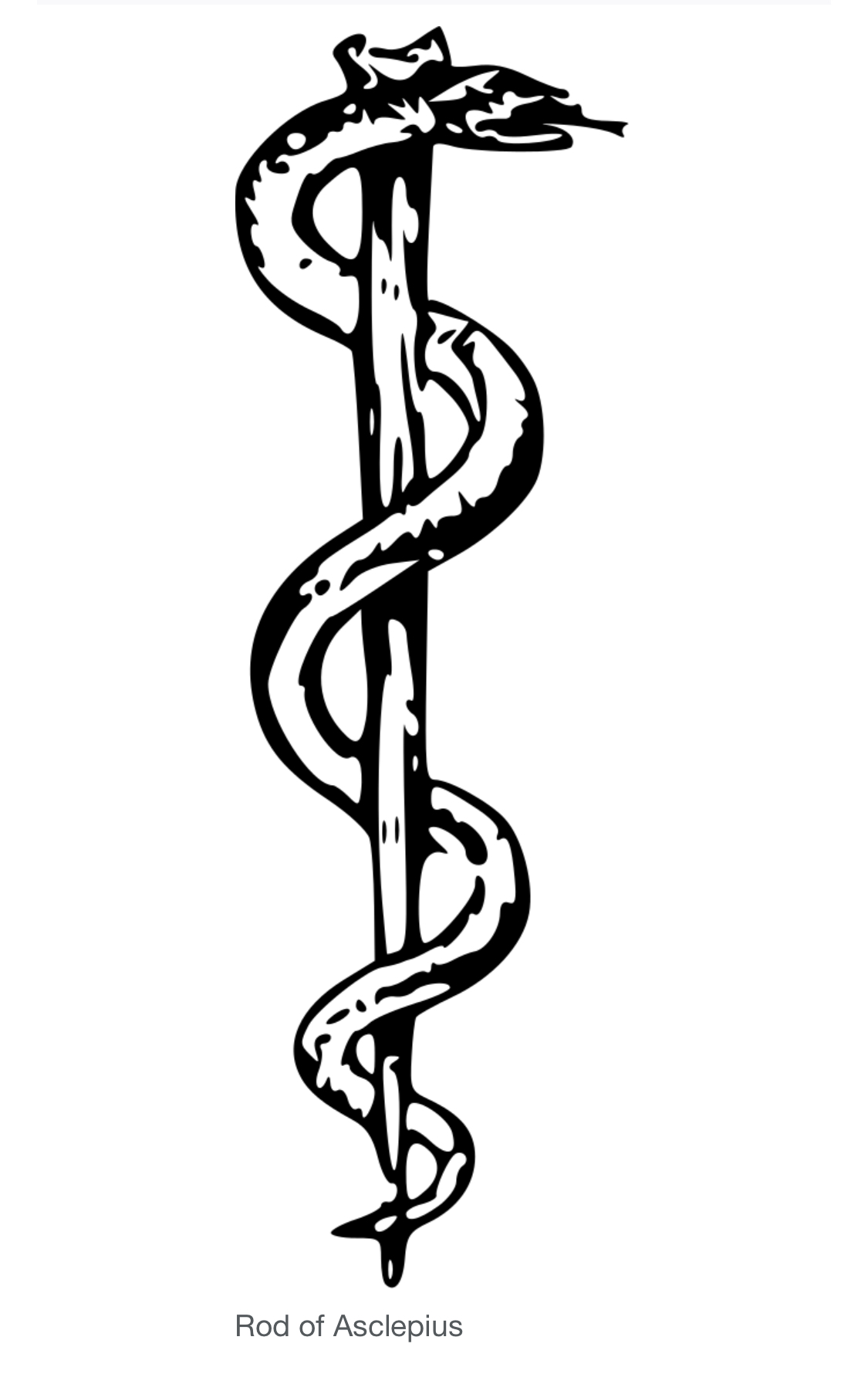 Змея значение символа. Посох Асклепия символ медицины. Змея, обвивающая посох (посох Асклепия-эскулапа). Символ Асклепия посох Асклепия. Змея обвивающая посох Асклепия.