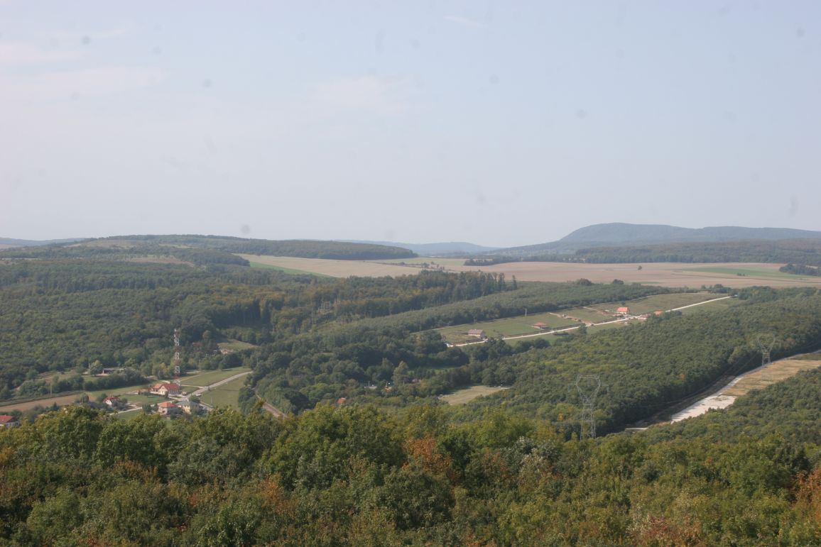 view