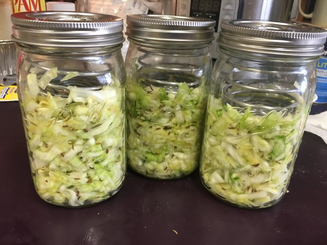 sauerkraut