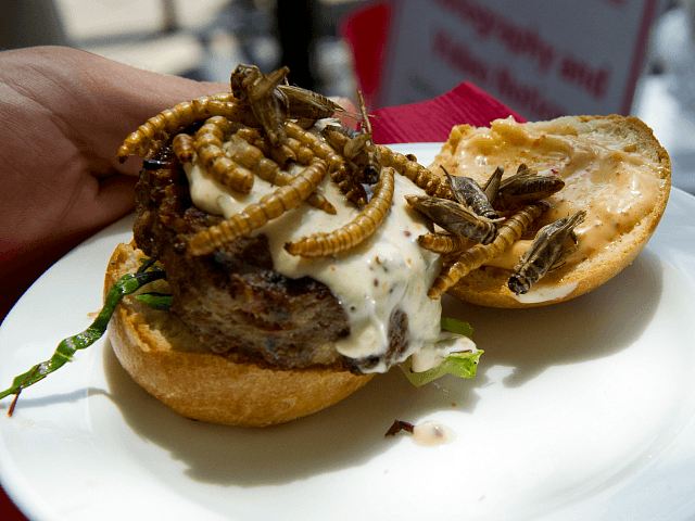 bug-burger-640x480