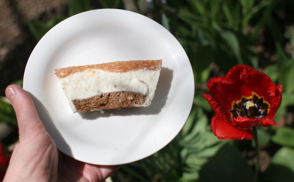 cheesecake_apr2