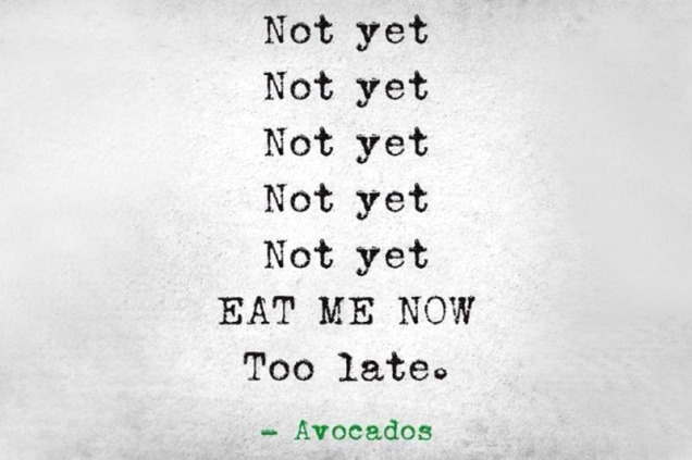 avocado