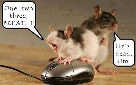 Mouse%20to%20mouse
