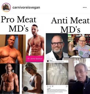 carnivorevsveganpicbody