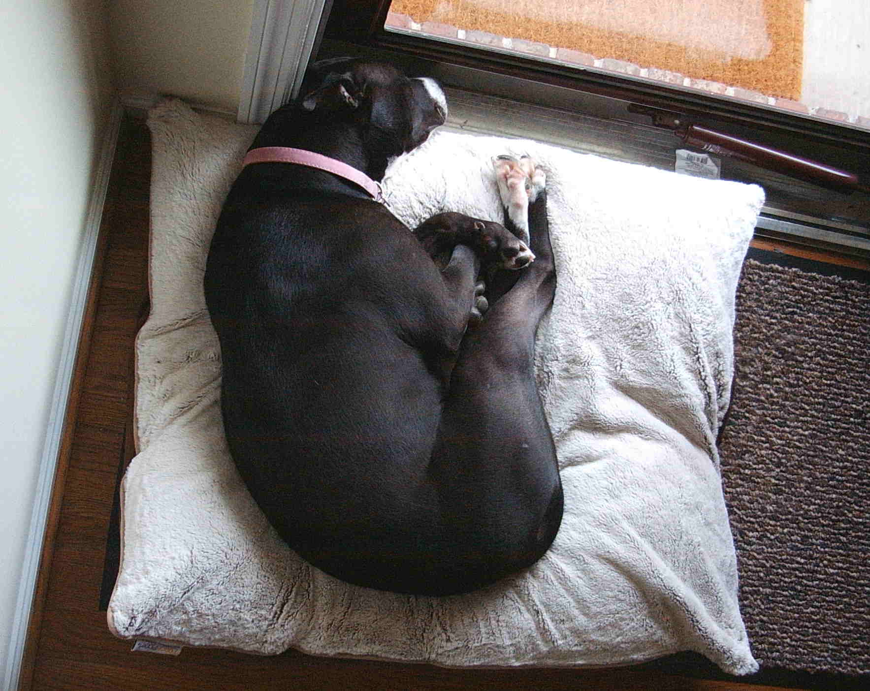 Home Security System