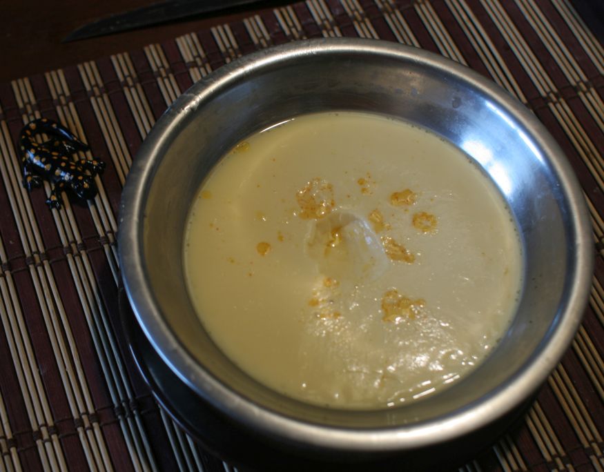 sep6dinner1