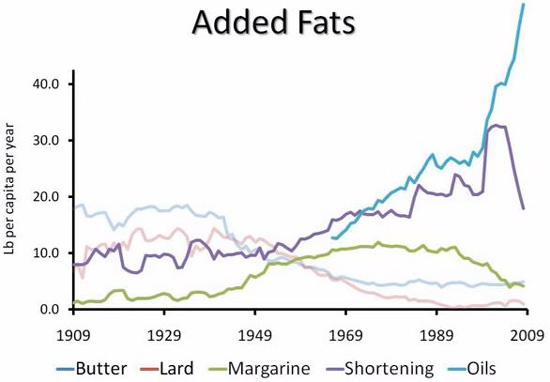 fat-consumption-in-usa