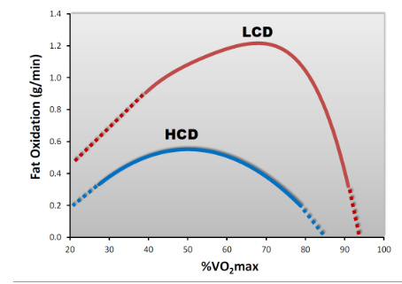 MAF Method - Exercise - Ketogenic Forums