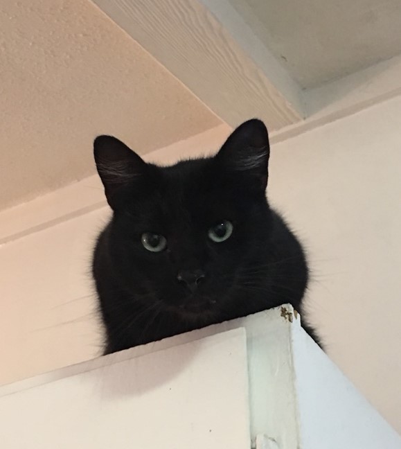 salem