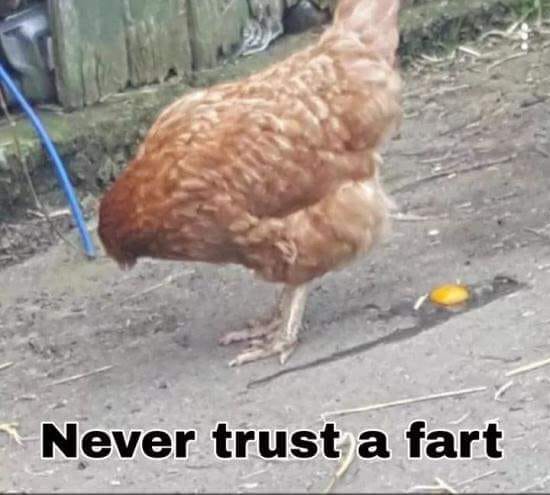 Never%20trust%20a%20fart