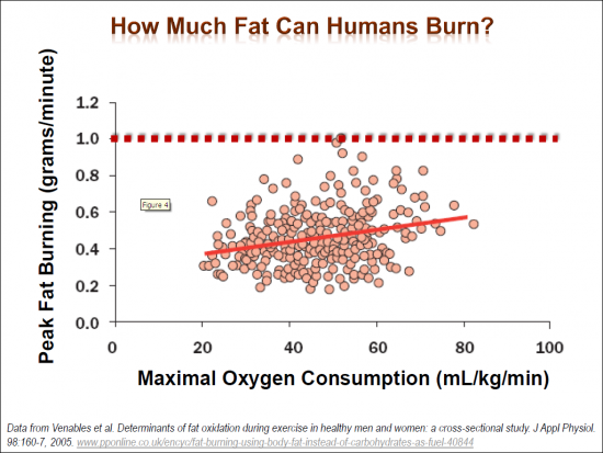 fat_adaptation-3-550x413